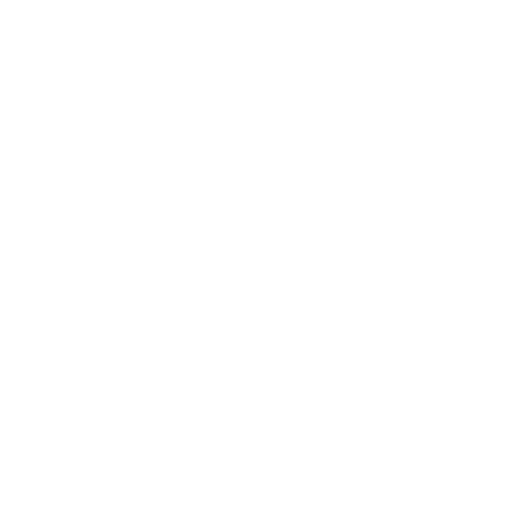wordpress website designer
